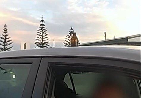 西澳司机酒驾被抓,车顶酒瓶令人捧腹,网友:有点本事(GIF/图) - 4