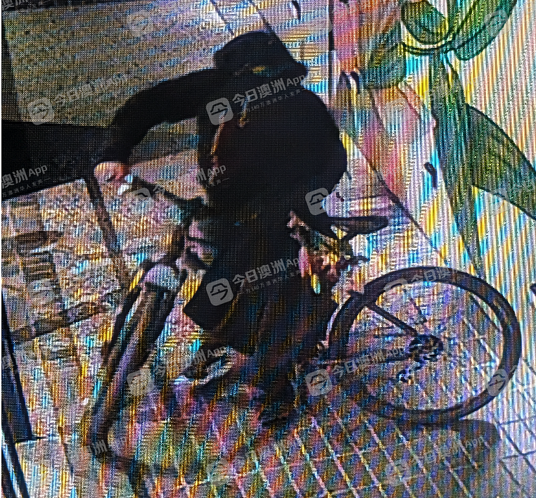 “雪上加霜！”澳洲华人店半年两度遭洗劫，钱箱都被砸烂！窃贼疑似惯犯，轻松开锁秒得手（图片） - 2