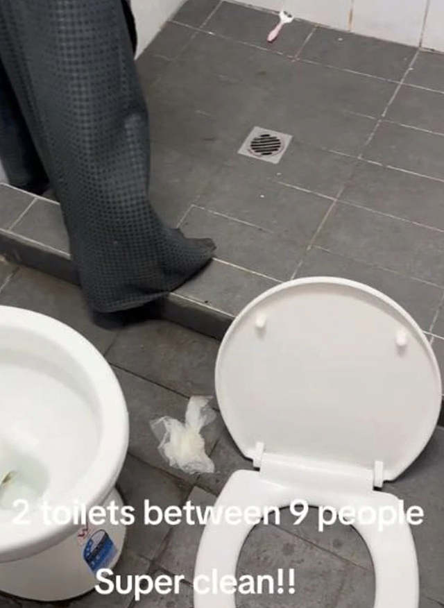 悉尼租客花$240住集装箱!10个人挤一屋,蟑螂爬床,马桶污秽不堪(视频/组图) - 4