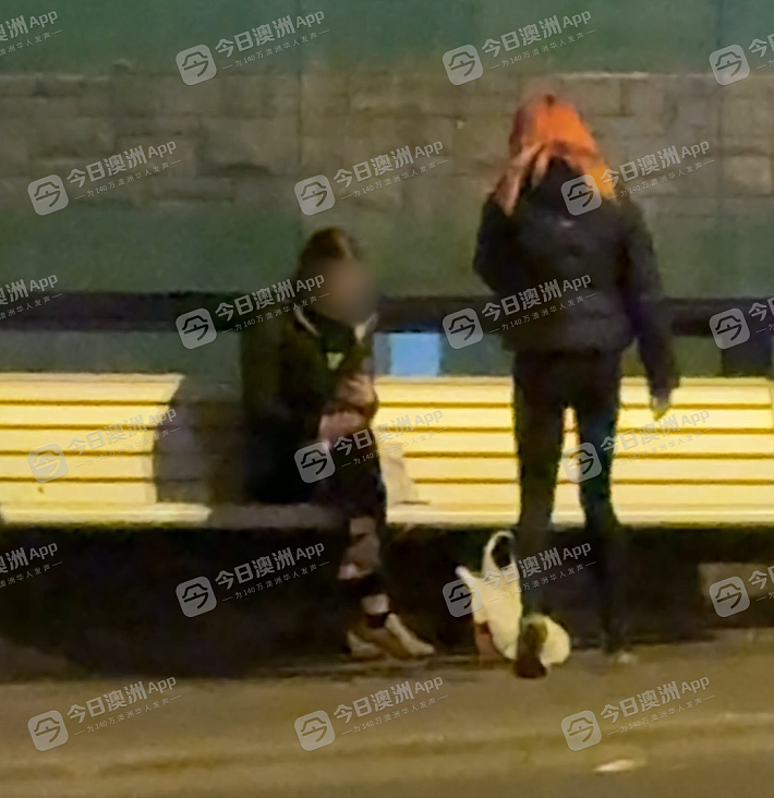 烟头烫脸、当街拖行！中国夫妻游澳洲，市中心无端遇袭被打伤！施暴者为两少女，已被起诉（视频/图片） - 1