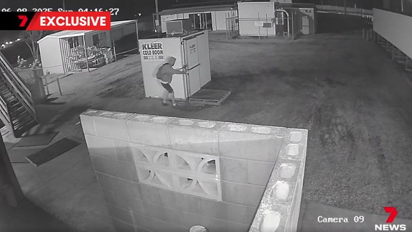 澳企业遭遇“偷肉狂魔”，接连光顾4次！大量牛排被盗，损失达$8000（组图） - 2
