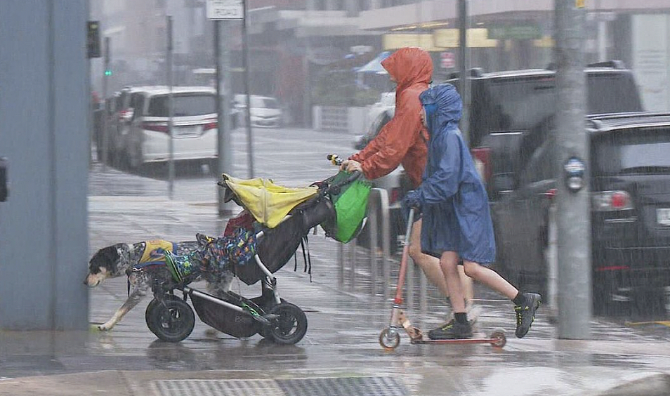 澳洲东南部持续降雨，多地迎两年来最大降水量（图） - 2