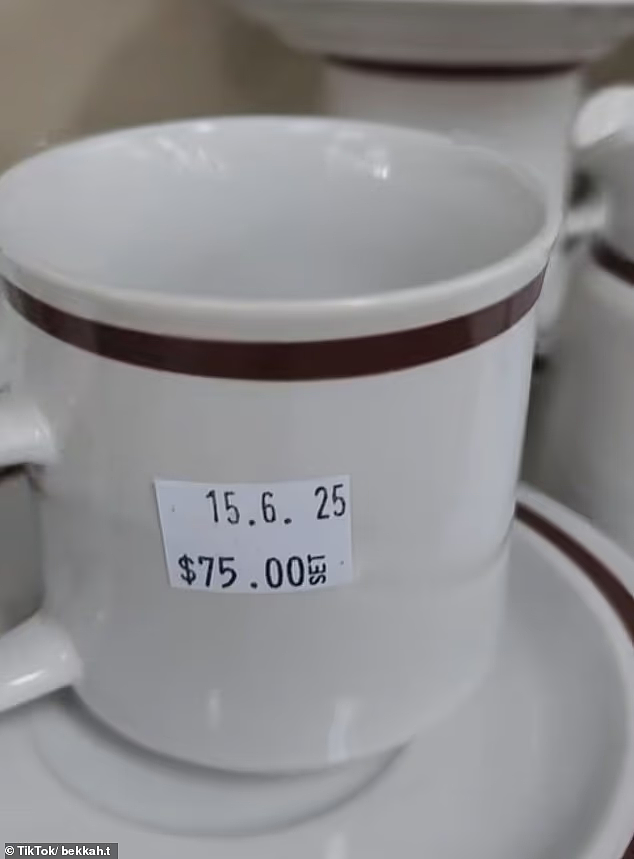 悉尼女子怒批二手店物价太高！一套杯子要价$75，引发网友共鸣：旧的比新的还贵（组图） - 3