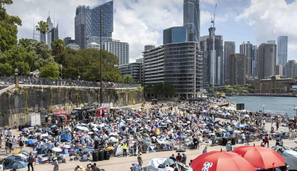跨年烟花“观景位”要花$50,北悉尼议会:实属无奈(组图) - 1