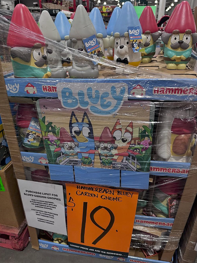 早晨6点排队，eBay炒到$1000！Bunnings网红单品火爆了（视频/组图） - 2