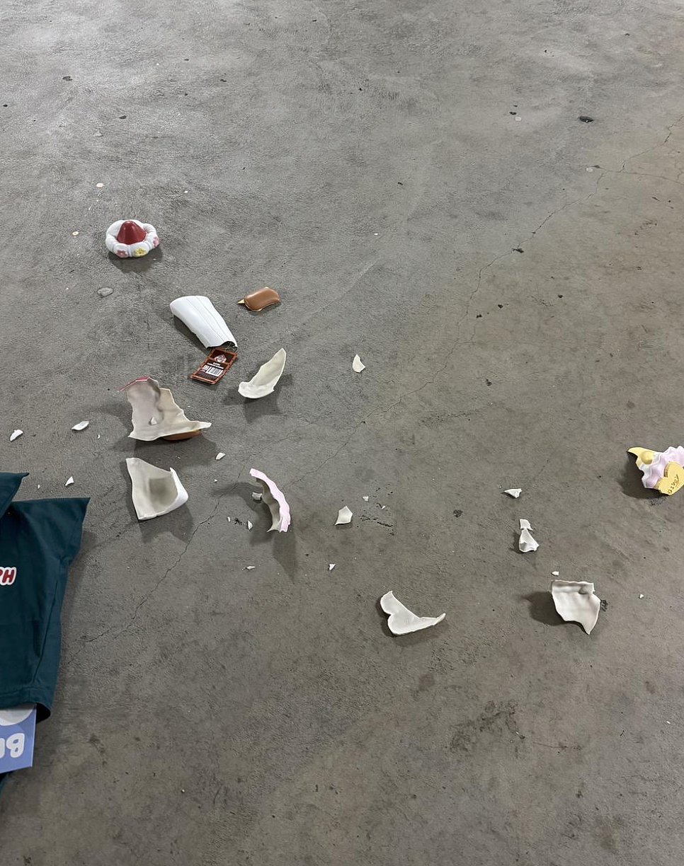 早晨6点排队，eBay炒到$1000！Bunnings网红单品火爆了（视频/组图） - 5