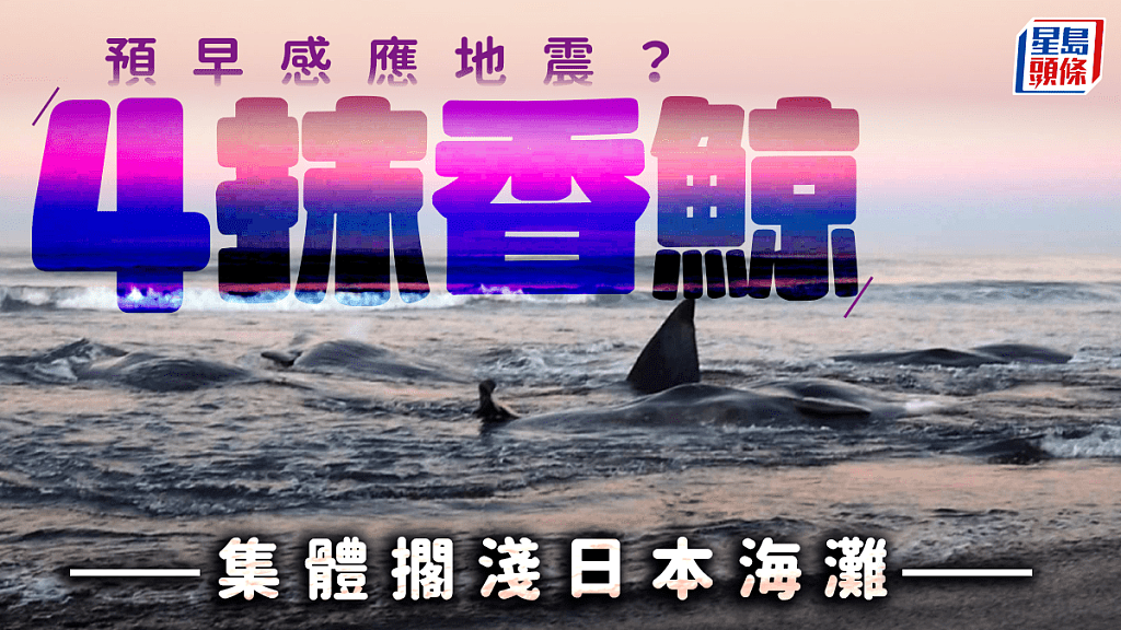 8.8级大地震引发罕见景象!夏威夷海水“神秘消失”,民众连夜抢物资(视频/组图) - 4