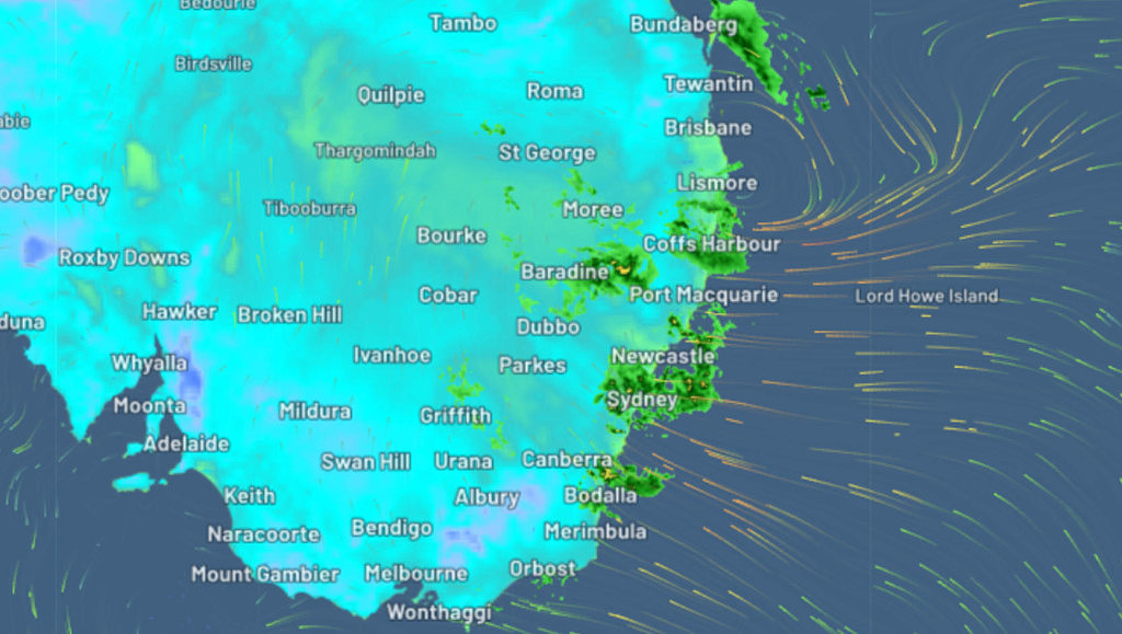 狂风暴雨席卷新州!气象局发布恶劣天气预警,多地出现雷暴(组图) - 2