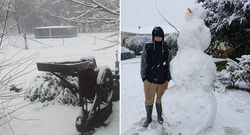 澳洲“童话镇”上线！寒流过境，偏远小镇一夜变雪国，议员跨州追雪（组图） - 3