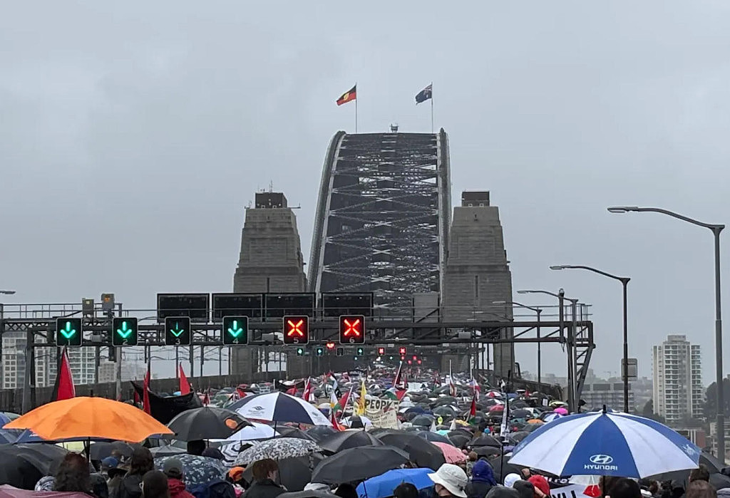 最新！近10万人涌上悉尼街头，警方紧急叫停游行，海港大桥重新开放（视频/组图） - 7