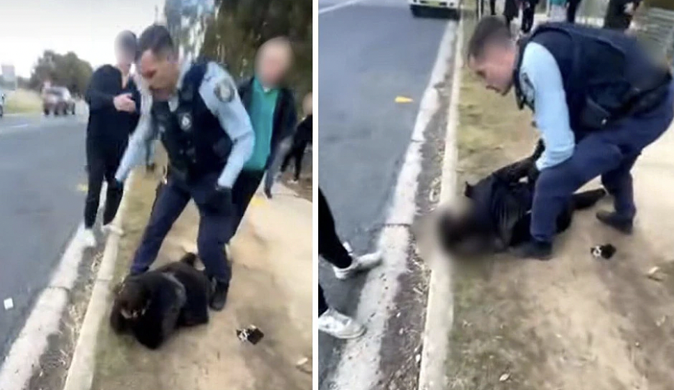 警察当街推倒女子!新州中学冲突引爆执法争议,警方急介入审查(组图) - 3
