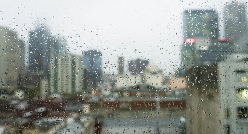 8天的降雨量比1个月还多！悉尼迎来近9年最潮8月（组图） - 2