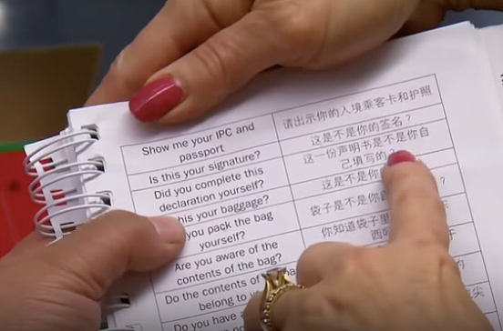 $20现金求私了?中国女子携违禁品闯关,悉尼机场连环骚操作被查哭(视频/组图) - 3