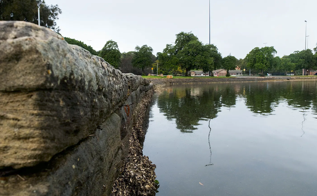 明年夏季开放!悉尼内西区新泳点来了,可容纳超过5000人(组图) - 2