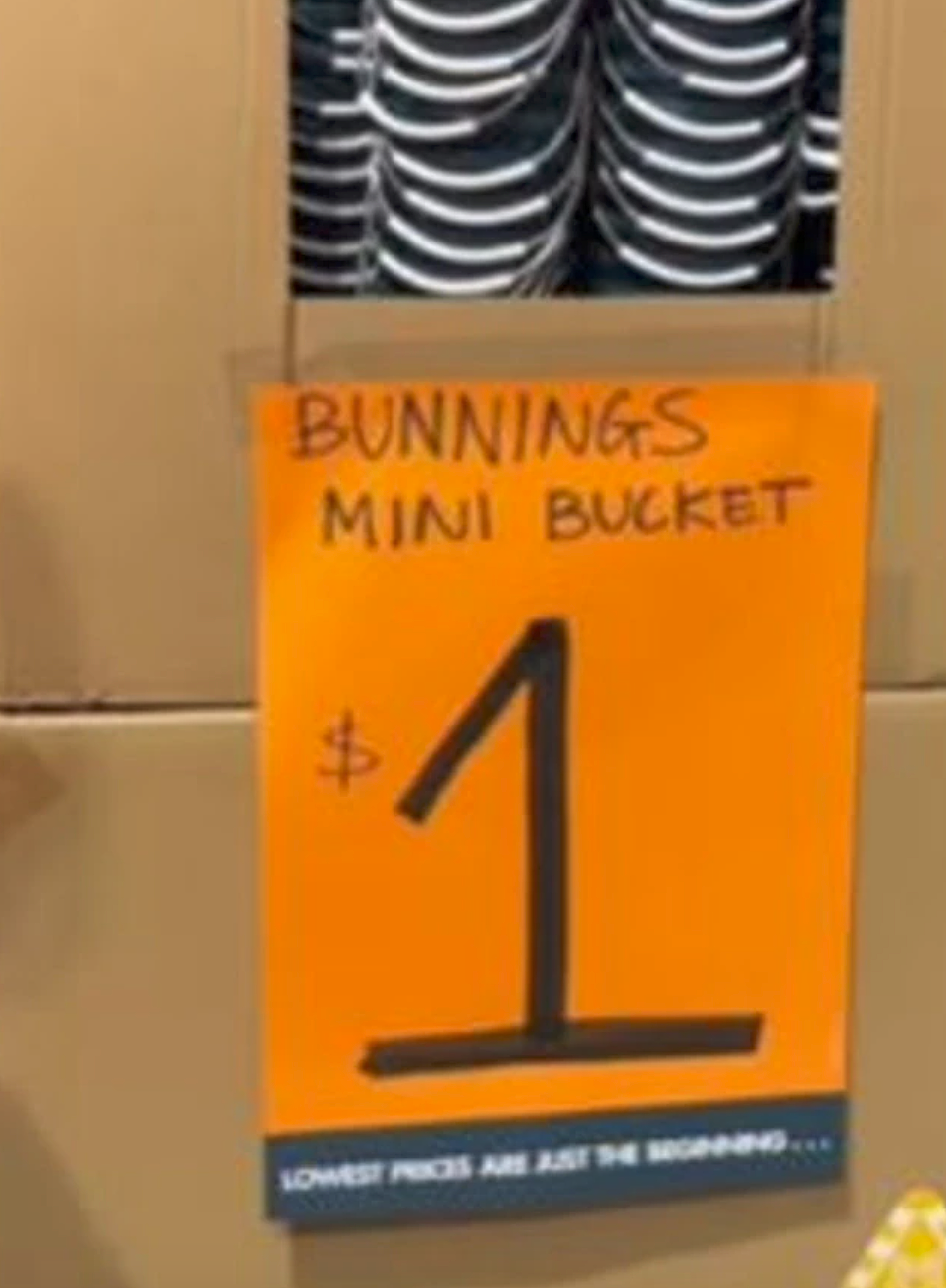 Bunnings售价$1迷你桶爆火!多个门店已断货(组图) - 1