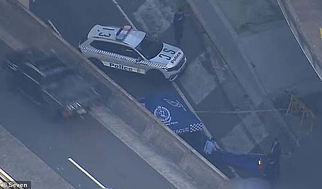 海港大桥附近两人坠亡！谋杀还是自杀？网上流言四起，警方回应（组图） - 2