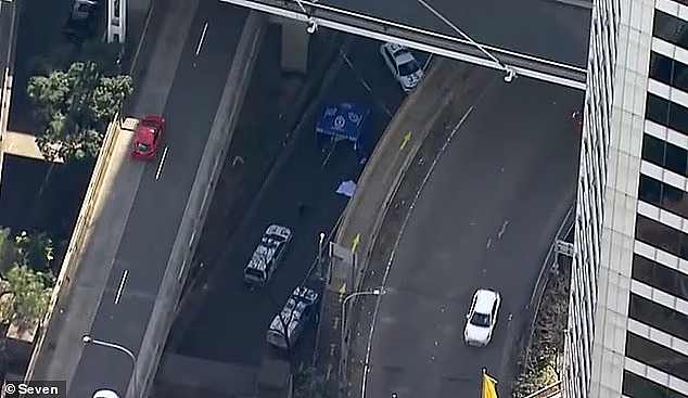 海港大桥附近两人坠亡！谋杀还是自杀？网上流言四起，警方回应（组图） - 3