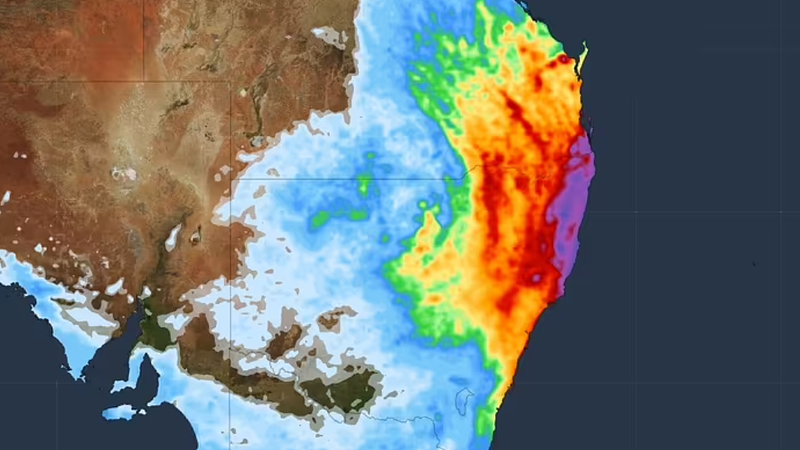 雨下不停!新州多地降雨量已是8月均值4倍,拉响洪水警报(组图) - 2