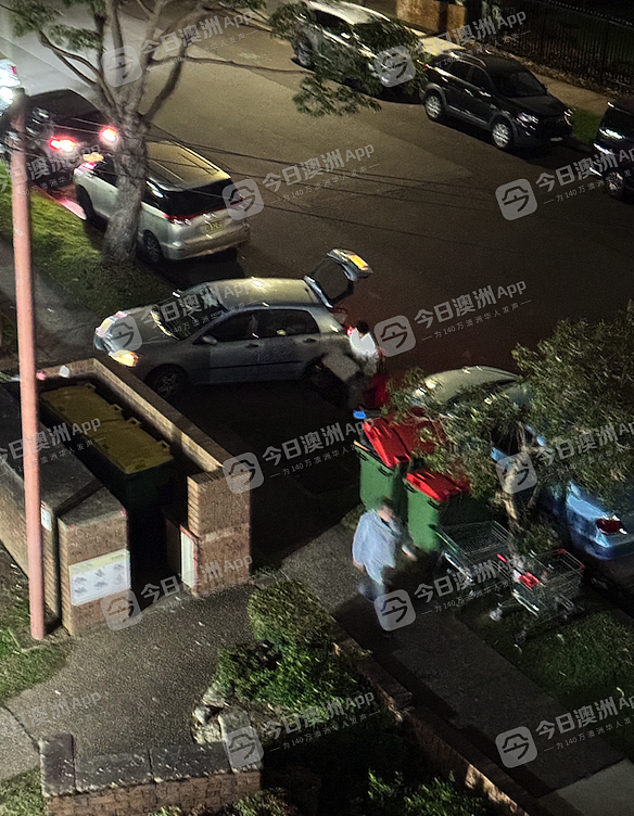 冰箱、彩电、割草机、吸尘器！外来垃圾“霸占”垃圾桶，悉尼华人区公寓住户怨声载道（组图） - 3
