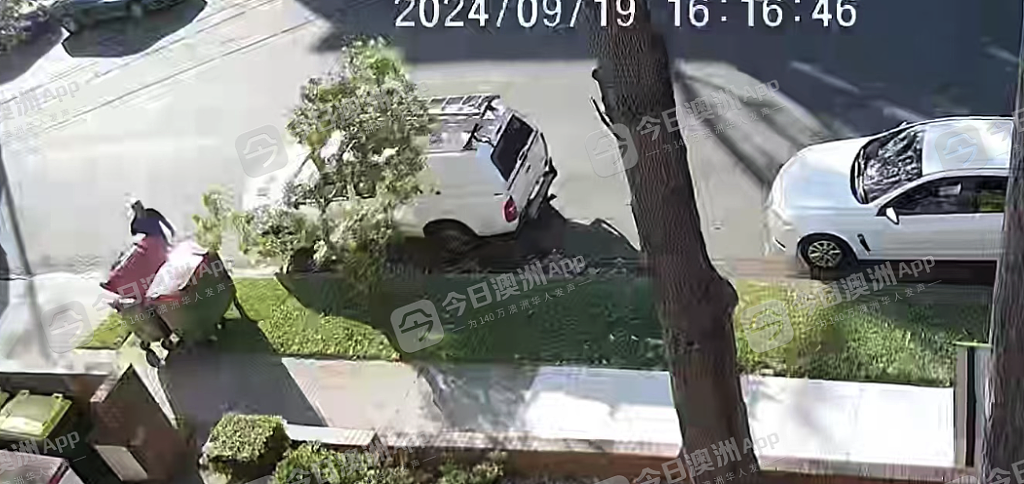 冰箱、彩电、割草机、吸尘器！外来垃圾“霸占”垃圾桶，悉尼华人区公寓住户怨声载道（组图） - 2