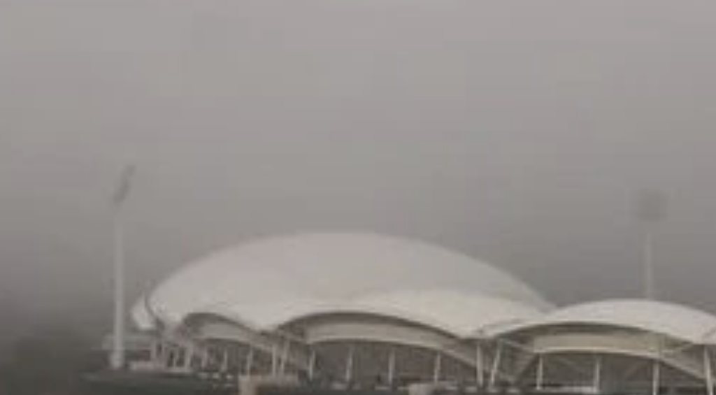 阿德莱德机场被大雾“吞没”！国际航班集体掉头，旅客滞留数小时崩溃（组图） - 2