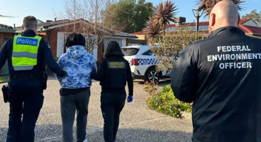 华男从澳洲寄快递到香港，获刑34个月罚$5000！只因包裹里藏了这些…（组图） - 2