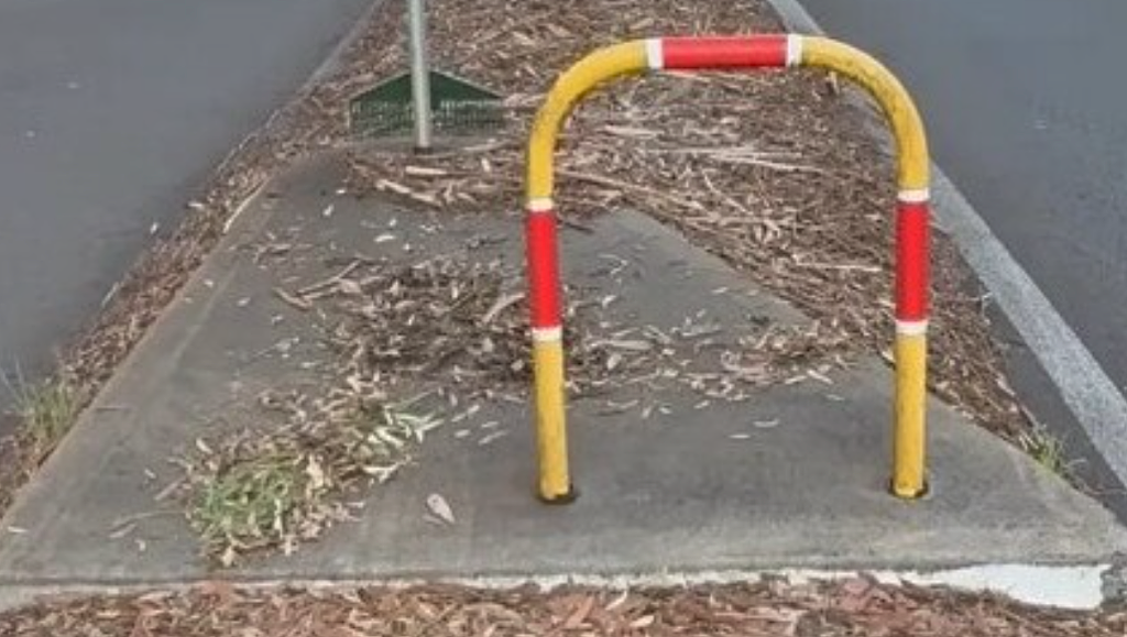 新州园丁1小时焕新荒废路段!网友:啪啪打脸市政(组图) - 1