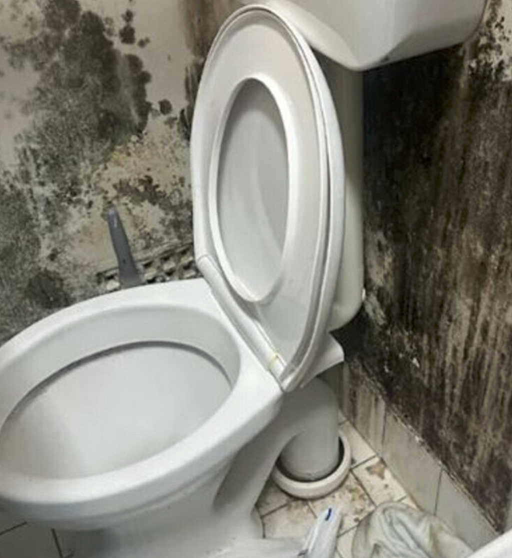 澳洲最容易滋生霉菌地区揭晓！你家上黑榜了吗？（组图） - 3