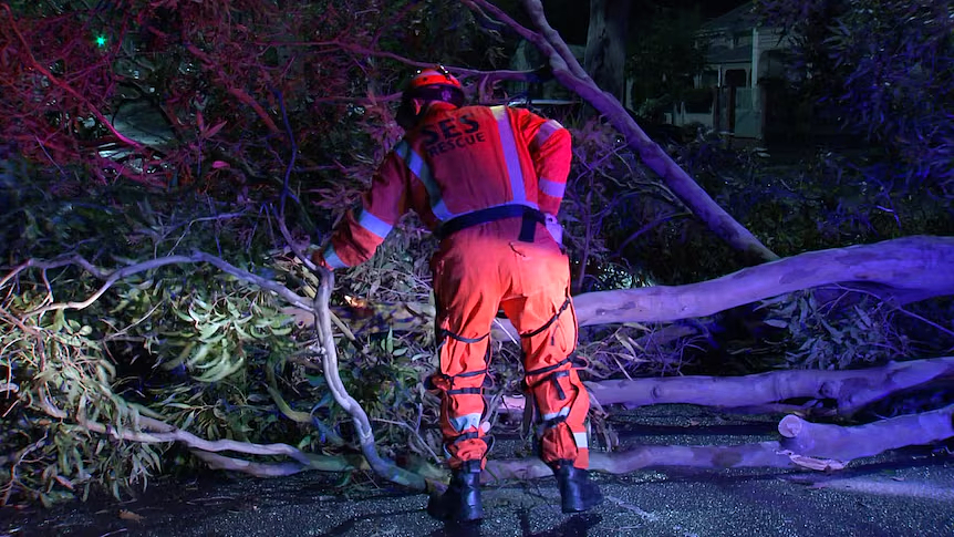维州经历可怕一晚，狂风暴雨席卷全州！2万户居民断电，SES求助电话被打爆（组图） - 5