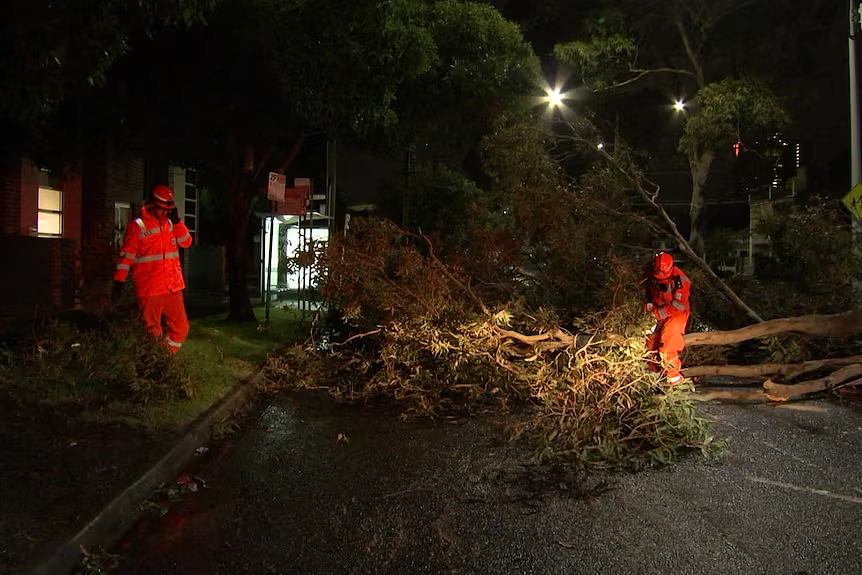 维州经历可怕一晚，狂风暴雨席卷全州！2万户居民断电，SES求助电话被打爆（组图） - 6