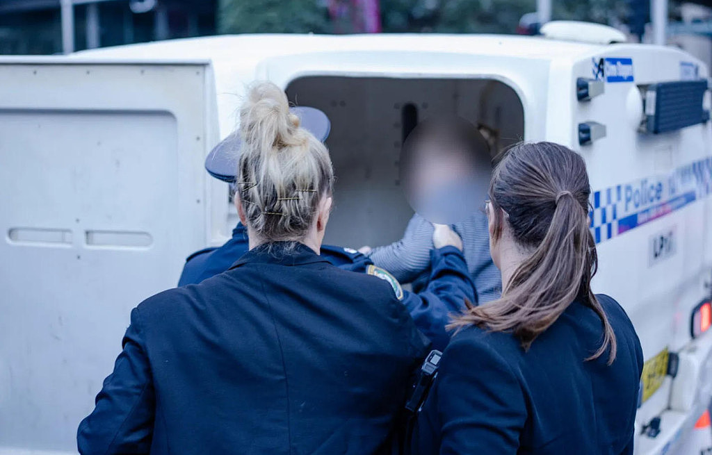 全澳各地爆发反移民游行，数万人涌上街头！抗议者要求艾博年下台，与亲巴示威者互殴（视频/组图） - 11