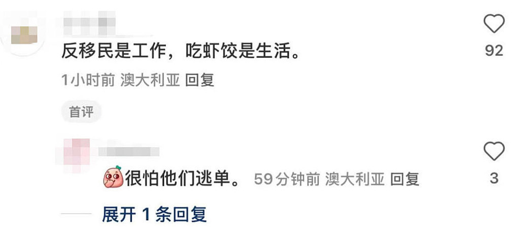 全澳各地爆发反移民游行，数万人涌上街头！抗议者要求艾博年下台，与亲巴示威者互殴（视频/组图） - 6