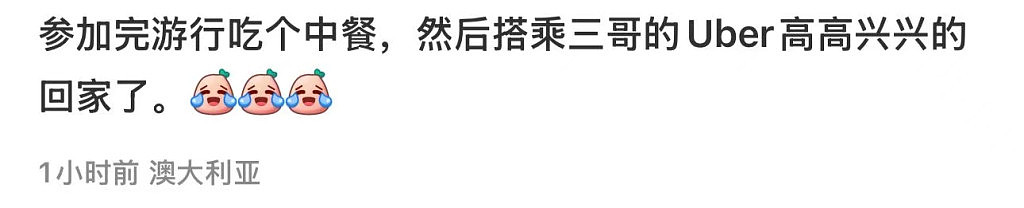 全澳各地爆发反移民游行，数万人涌上街头！抗议者要求艾博年下台，与亲巴示威者互殴（视频/组图） - 8