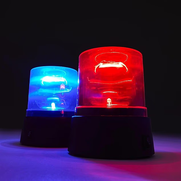 Kmart竟然卖“警灯”？仅售$10！网友炸锅：这合法吗？（组图） - 3