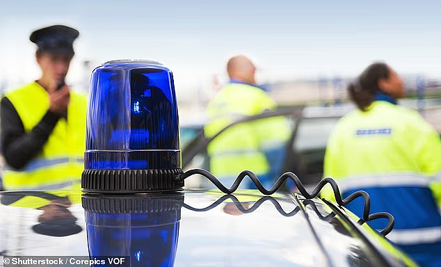 Kmart竟然卖“警灯”？仅售$10！网友炸锅：这合法吗？（组图） - 4