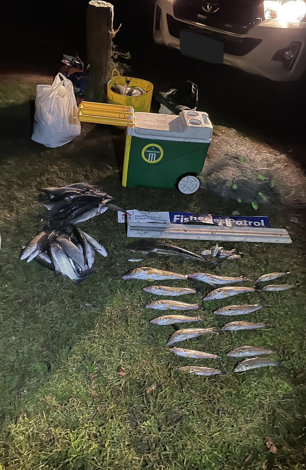胆子真大!维州男子深夜撒下160米巨网,非法捕鱼超270条,被当场抓获(组图) - 5