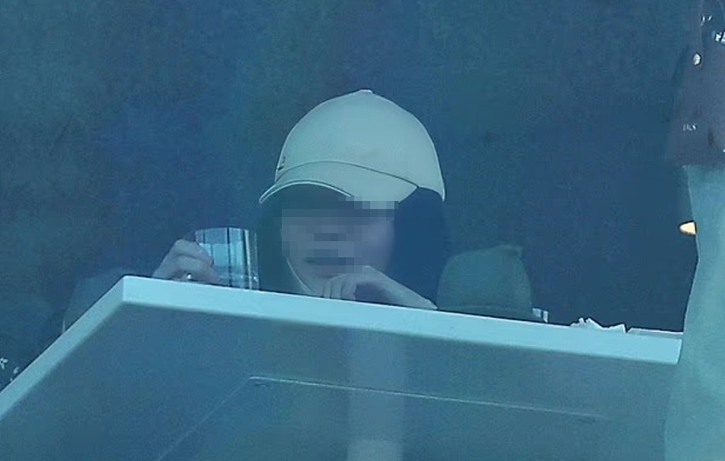 杨兰兰现身悉尼餐厅,全身LV爱马仕,总价超$1.1万!吃饭都戴着口罩(视频/组图) - 3