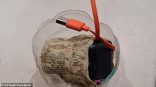 澳清真寺发现“可疑物品”！拆弹组紧急出动，好在虚惊一场（组图） - 2