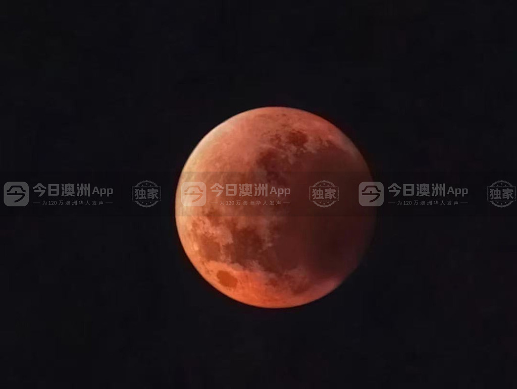 澳洲惊现“血月”流星天文盛况，悉尼华人苦守追月！“稀罕得像第一次尝到血柚”（视频/组图） - 1