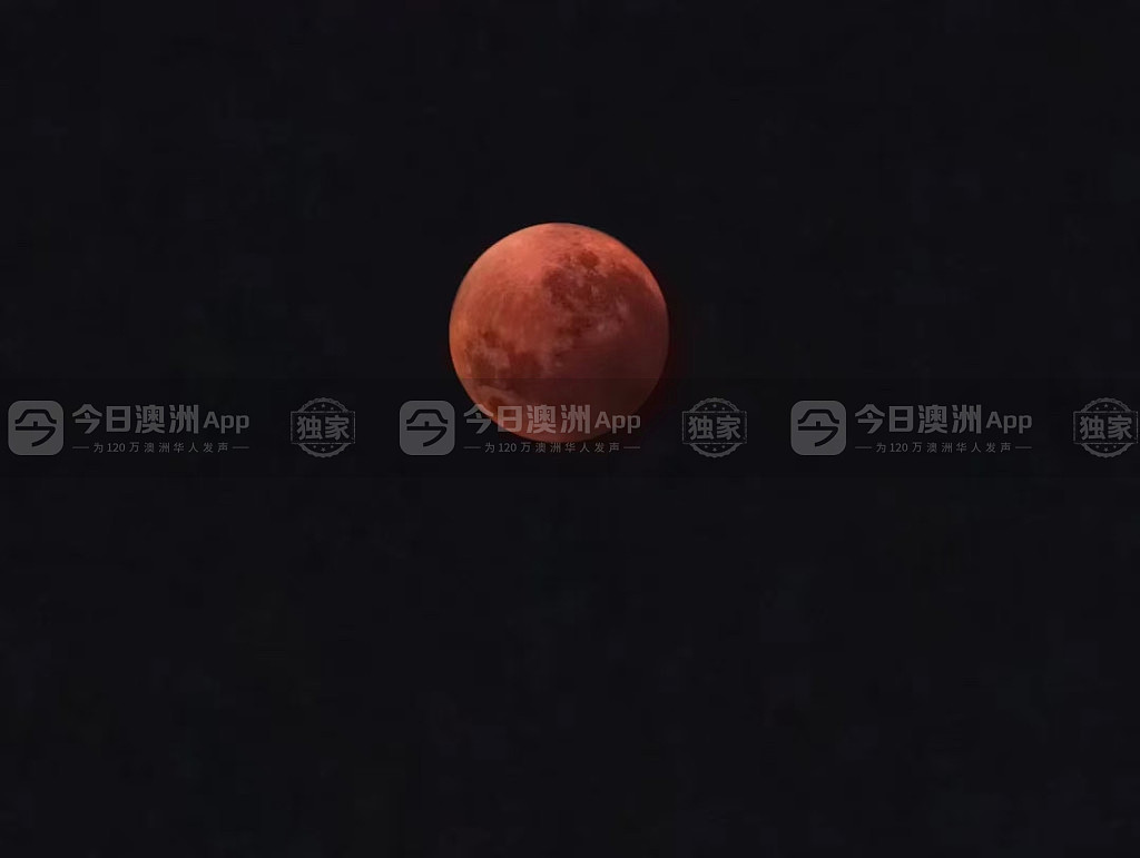 澳洲惊现“血月”流星天文盛况，悉尼华人苦守追月！“稀罕得像第一次尝到血柚”（视频/组图） - 2