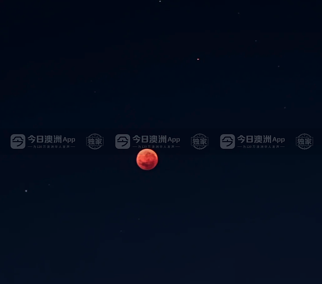 澳洲惊现“血月”流星天文盛况，悉尼华人苦守追月！“稀罕得像第一次尝到血柚”（视频/组图） - 3