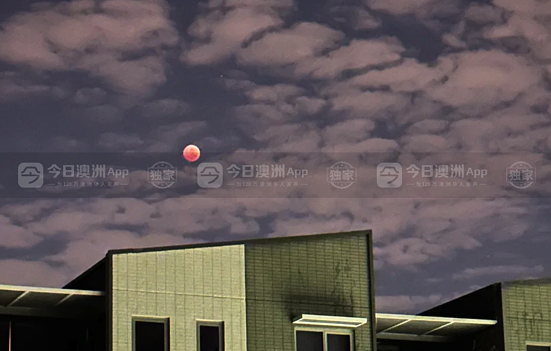 澳洲惊现“血月”流星天文盛况，悉尼华人苦守追月！“稀罕得像第一次尝到血柚”（视频/组图） - 6