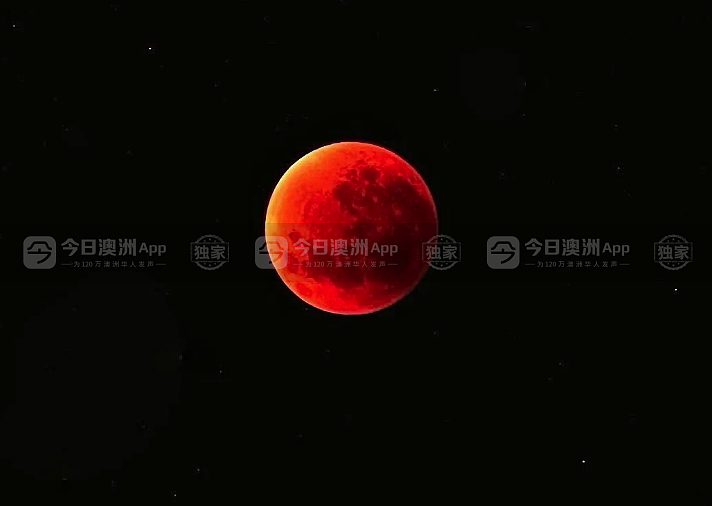 澳洲惊现“血月”流星天文盛况，悉尼华人苦守追月！“稀罕得像第一次尝到血柚”（视频/组图） - 7