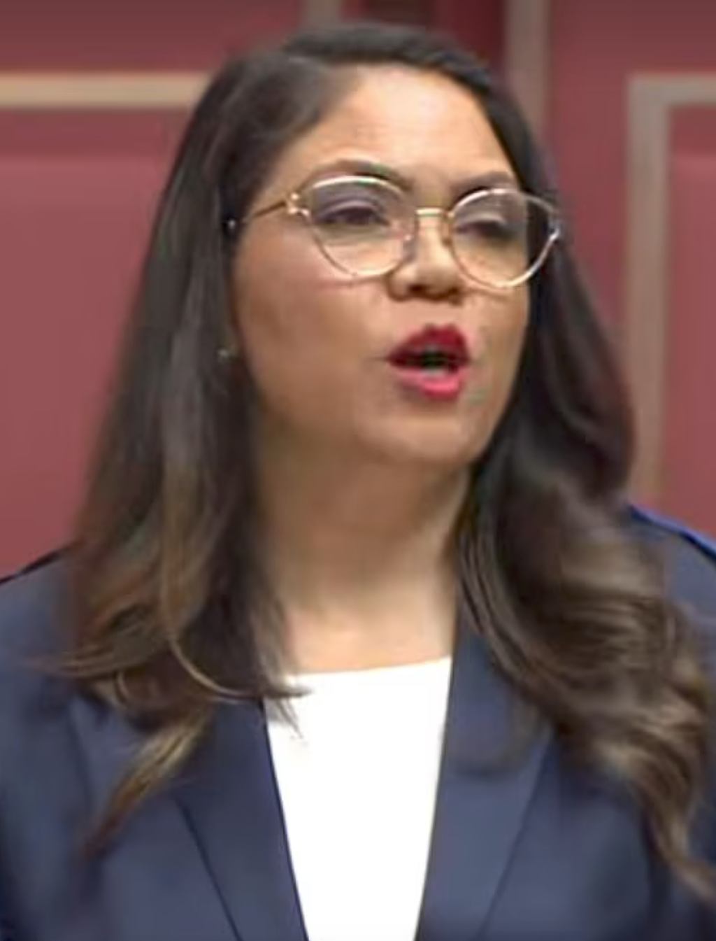 成员一句话,得罪华裔和印度裔!澳自由党党魁急得团团转(组图) - 1