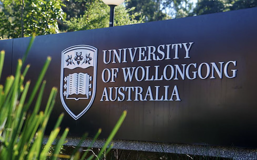 卧龙岗大学拟裁95个岗位填补$3500万缺口！员工不满透明度不足，校监辩护称程序审慎（组图） - 2