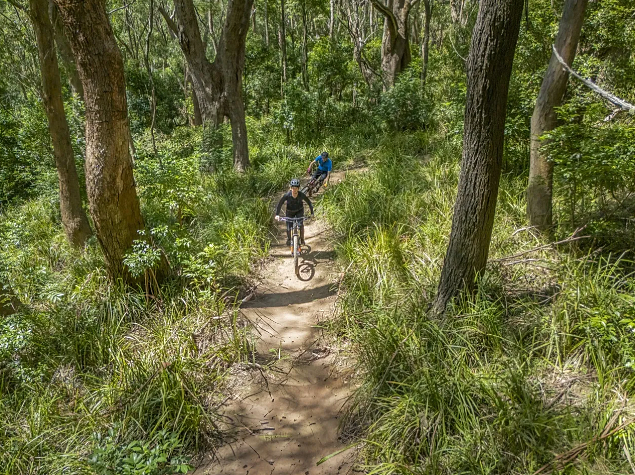 悉尼周边好去处!20公里自行车道“闪亮登场”,免费开放,还不快出发(组图) - 4