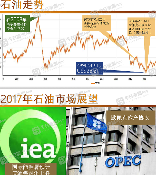 “一切痛苦都是诈骗造成！”悉尼7旬华人老翁遇“庞氏骗局”，全部积蓄打水漂还欠债！与“上线”肉搏追讨，反被控袭击（组图） - 1
