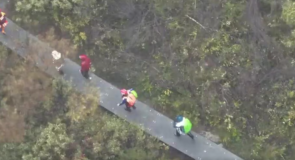 悉尼遭“暴雨炸弹”袭击！24小时降雨抵一个半月，SES打电话被打爆（组图） - 5