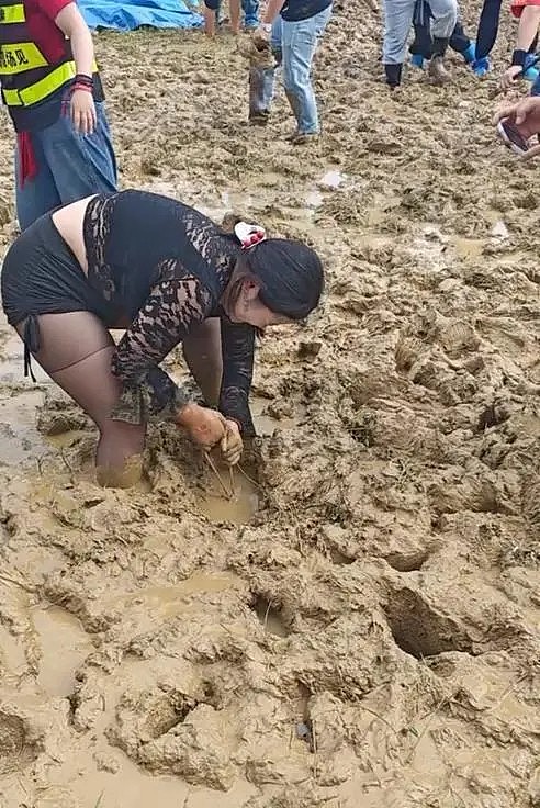 安徽音乐节泥泞满地！歌迷嘲现场变插秧节（视频/组图） - 2