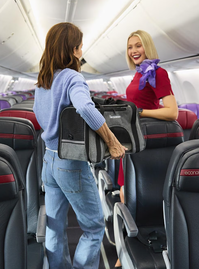Virgin Australia首推客舱携宠航班，今日起开放预订（组图） - 3